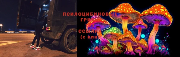 марки lsd Горнозаводск