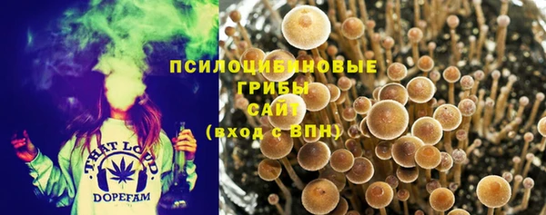 гашик Балабаново