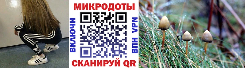 Псилоцибиновые грибы MAGIC MUSHROOMS  продажа наркотиков  Горняк 